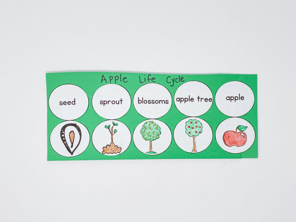 Johnny Appleseed apples literacy math science activities fall unit apple life cycle apple abc order apple pie how to writing sequencing graphing