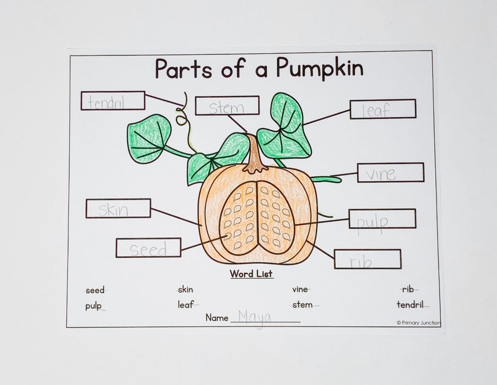 pumpkin day pumpkin tasting activities graphing pumpkin science experiments pumpkin literacy activities pumpkin life cycle pumpkin vocabulary parts of a pumpkin pumpkin craft