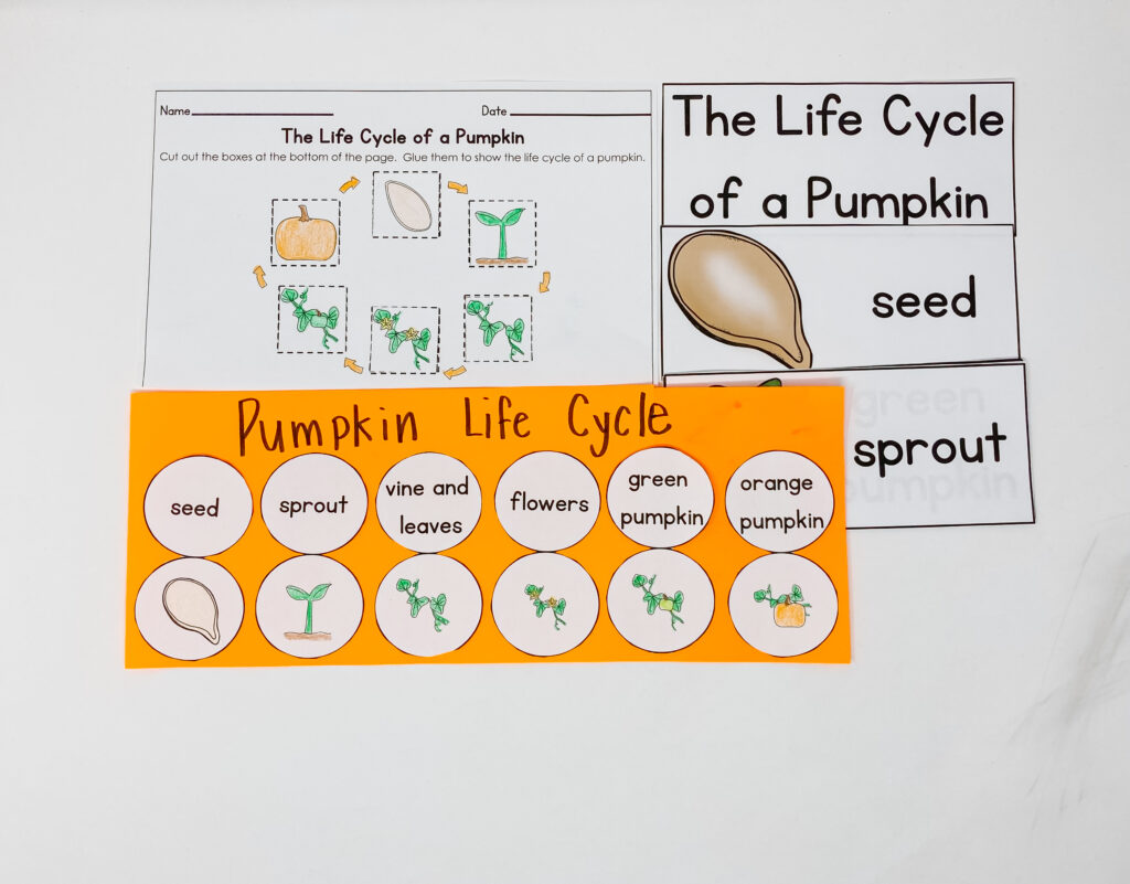 pumpkin day pumpkin tasting activities graphing pumpkin science experiments pumpkin literacy activities pumpkin life cycle pumpkin vocabulary parts of a pumpkin pumpkin craft